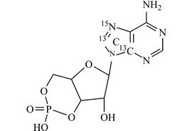 腺苷-3',5'-环单磷酸酯-13C2,15N