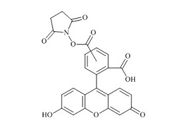 5(6)-羧基荧光素 N-琥珀酰亚胺酯