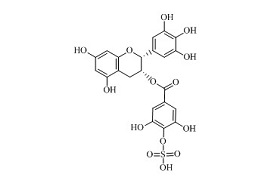 (-)-表没食子儿茶素没食子酸酯硫酸酯B