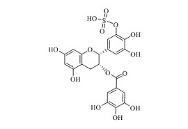 (-)-表没食子儿茶素没食子酸酯硫酸酯C