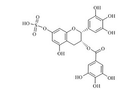 (-)-表没食子儿茶素没食子酸酯硫酸酯D