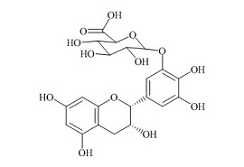 (-)-表没食子儿茶素-β-D-葡萄糖醛酸苷A