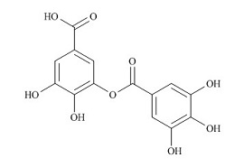 双没食子酸