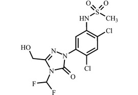 羟基甲磺草胺