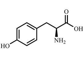 L-酪氨酸