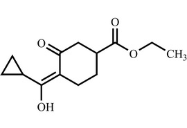 抗倒酯