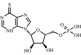 6-硫代肌苷磷酸酯