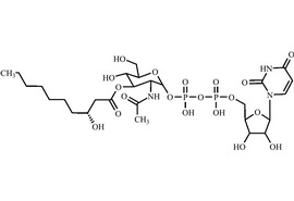 UDP-3-O-(R-3-羟基癸酰基)-N-乙酰氨基葡萄糖