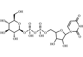 尿苷 5'-二膦酰葡萄糖
