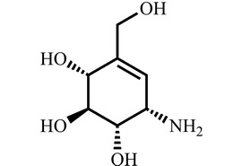 (+)-井冈霉烯胺 盐酸盐