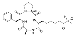 1-Alaninechlamydocin