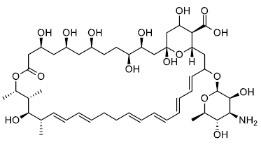 制霉菌素A1