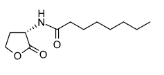 N-辛酰基-L-高丝氨酸内酯