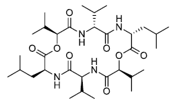 Sporidesmolide III