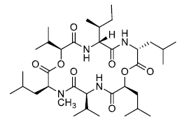 Sporidesmolide V