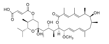 抗生素TS 155-2