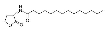 十四酰-L-高丝氨酸内酯