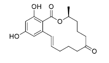 玉米赤霉烯酮