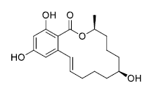 β-玉米赤霉烯醇