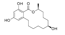 β-玉米赤霉醇