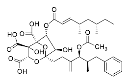 Zaragozic acid A