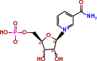 β-烟酰胺单核苷酸