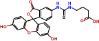 荧光素-硫脲基-丁酸