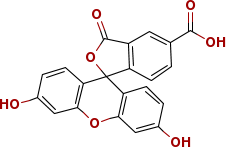 5-羧基荧光素