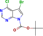 7-溴-6-氯-7-脱氮杂嘌呤-9-羧酸叔丁酯