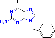 2-氨基-9-苄基-6-碘嘌呤