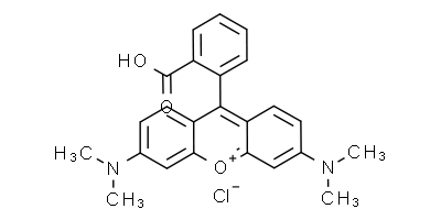 四甲基罗丹明