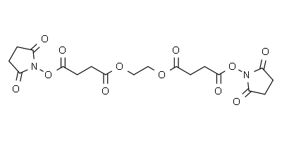 乙二醇双(琥珀酰亚胺基琥珀酸酯)